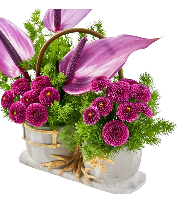 Purple Dream - 3