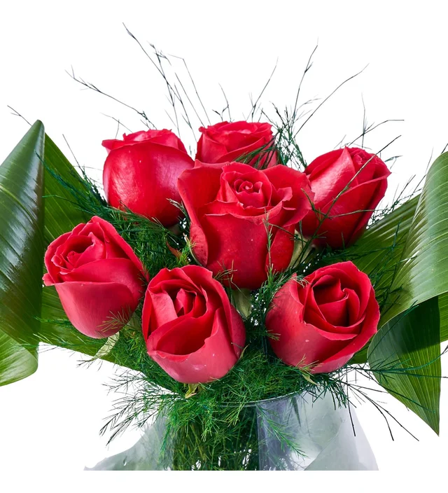 The Red Rose - 2