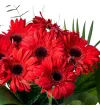 Siyah Vazoda Kırmızı Gerbera - 2