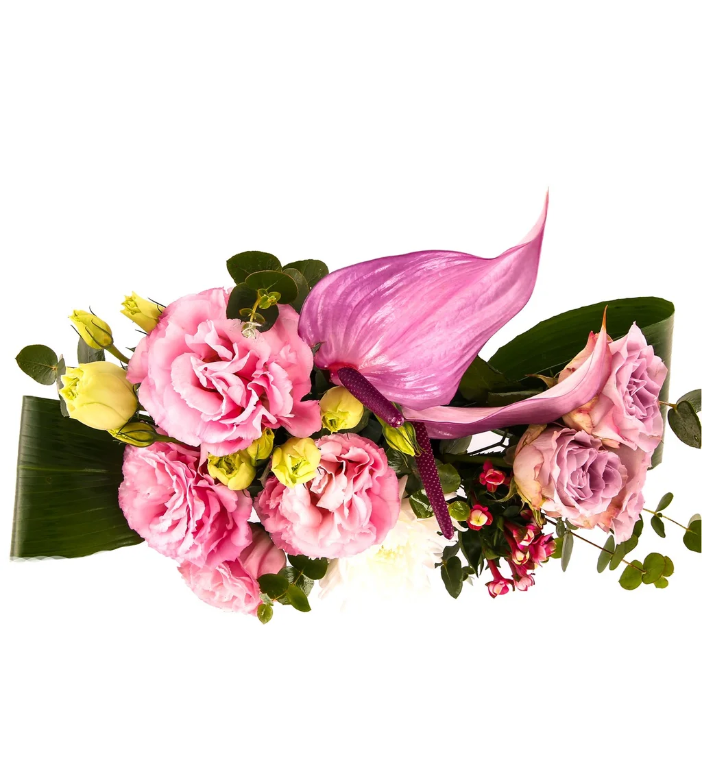 Luxury Sweetcorn - 4