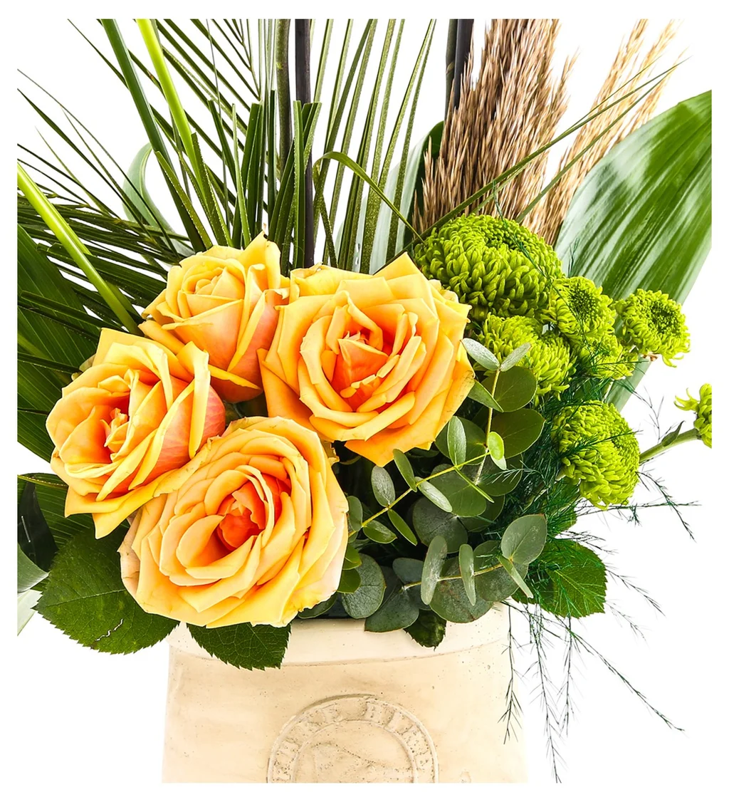 Sweet Energy Luxury Orkide - 3