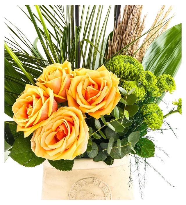 Sweet Energy Luxury Orkide - 3