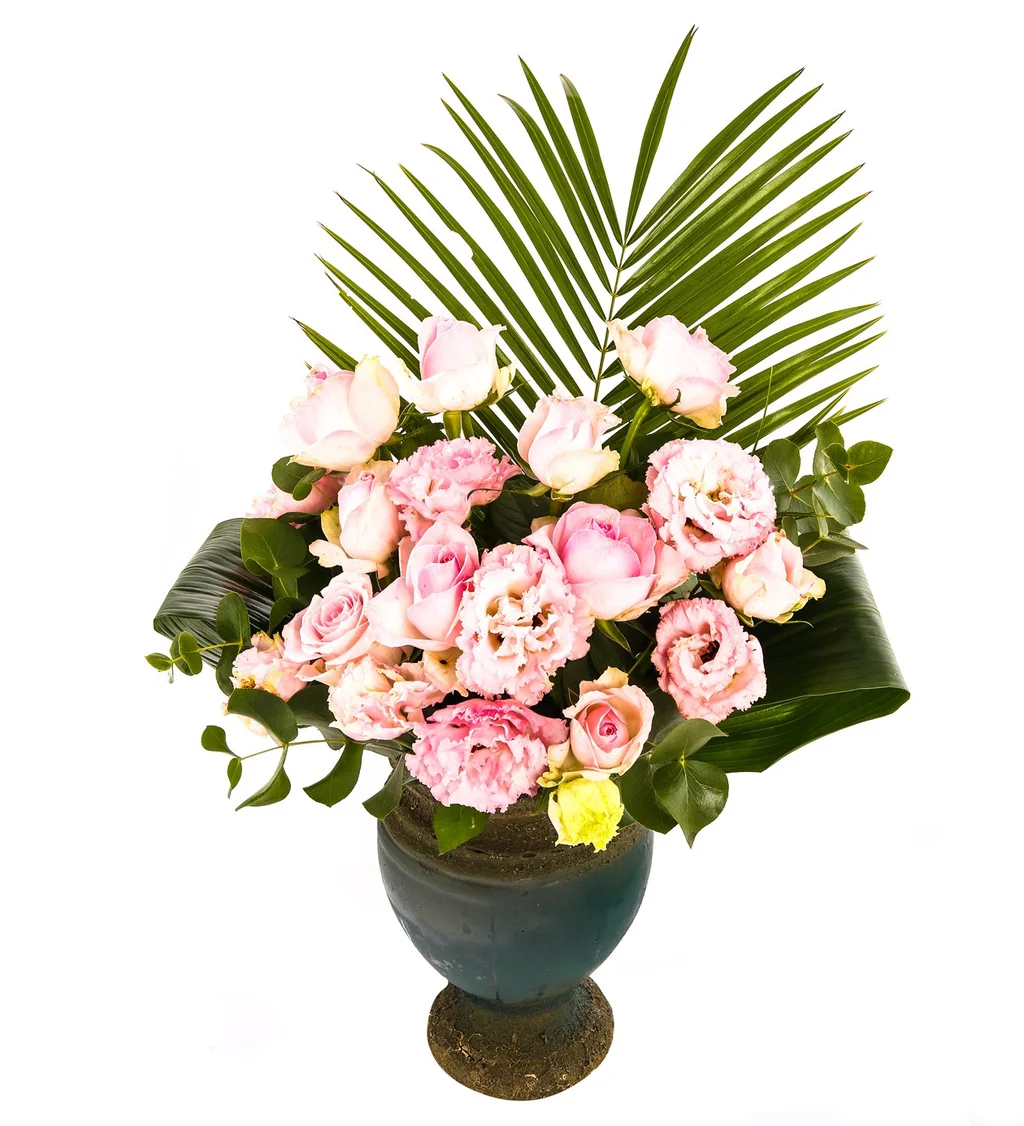 My Angelwing Lisyantus - 3