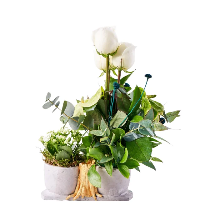 Green Melody - 3