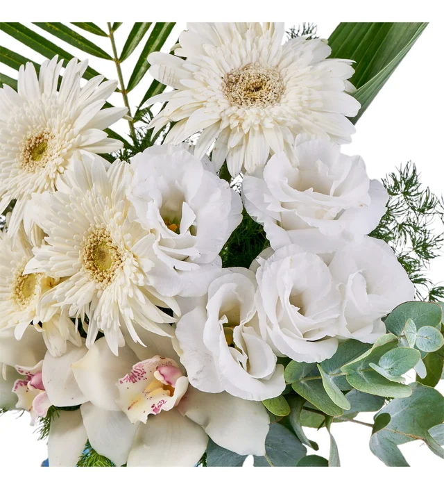 White Harmony - 2