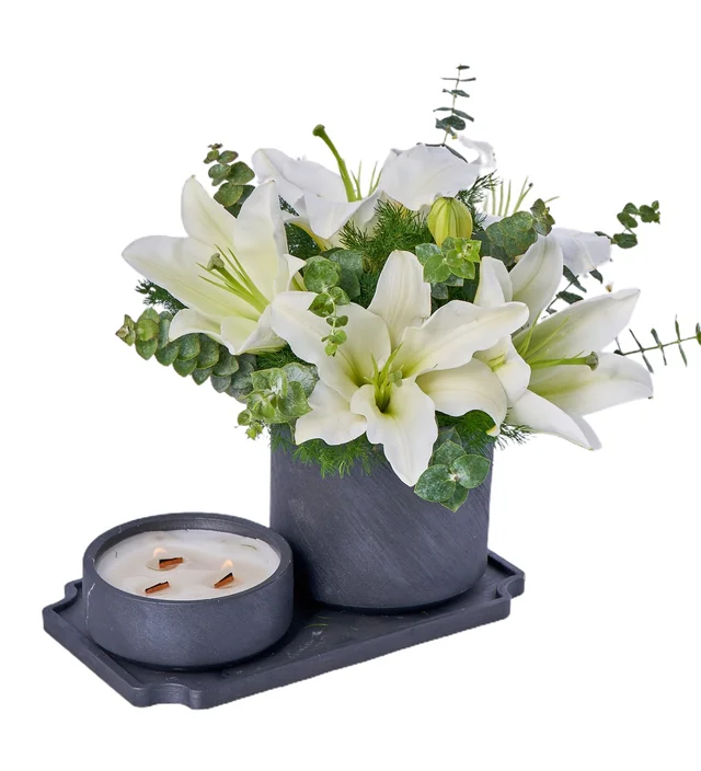 Lilyum and Candle Fantasy - 3