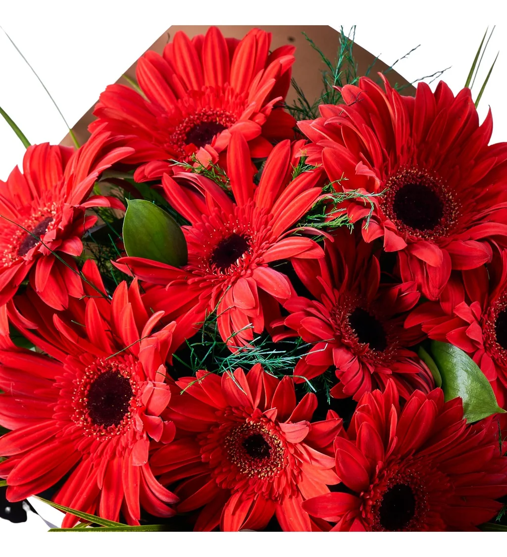 Kırmızı Gerbera Buketi - 4