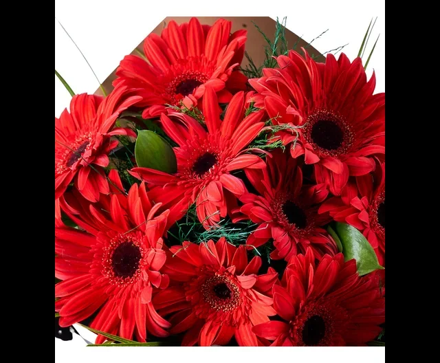 Kırmızı Gerbera Buketi - 3