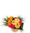 Big Fresh Colorful Gift - 2