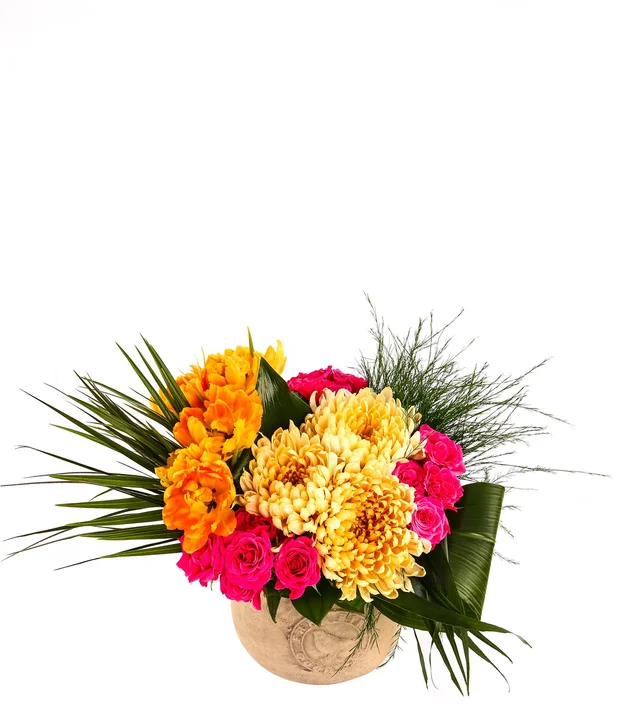 Big Fresh Colorful Gift - 2