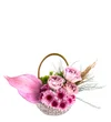Fresh & Pretty Ball - 2