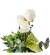 Green Melody - 4
