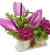 Purple Dream - 2