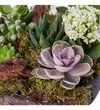 Secret Garden - 3