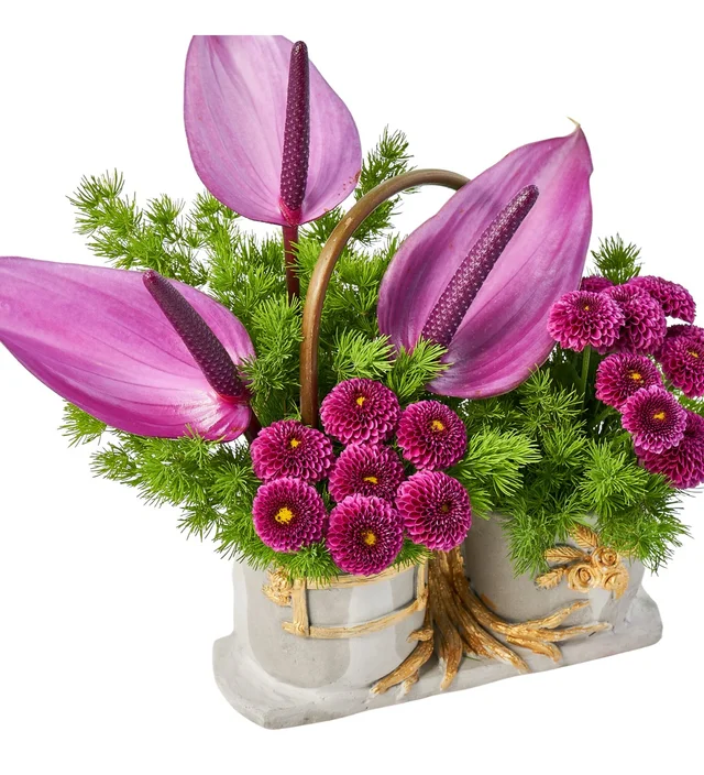 Purple Dream - 2