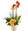 Sweet Energy Luxury Orkide - 2