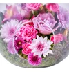 Pink Teraryum Garden - 2
