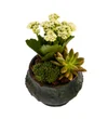 Fresh Trio Garden - 2