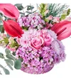 Pink of Feeling - 2