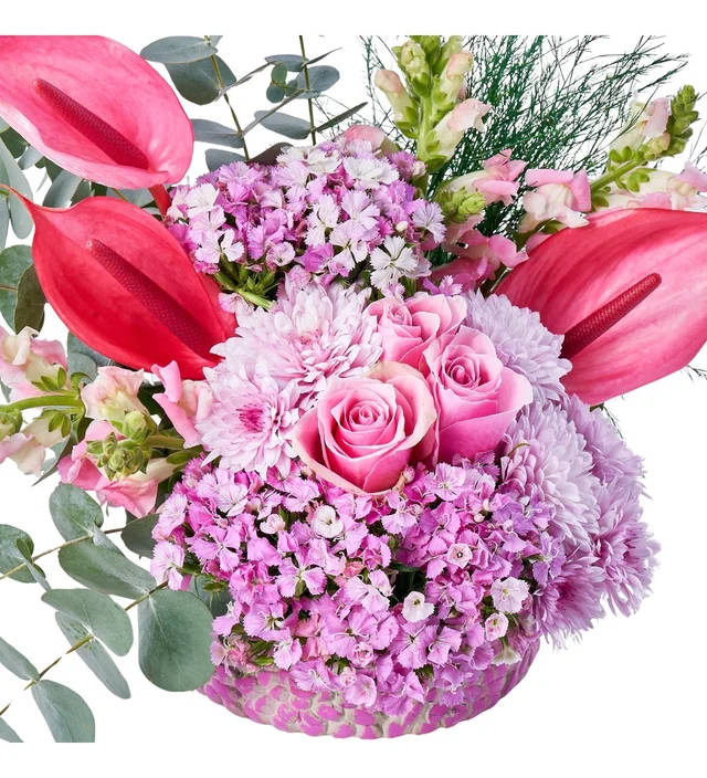 Pink of Feeling - 2
