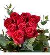 Red Beauty - 3