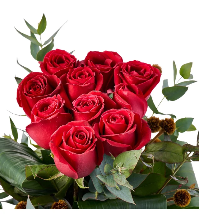 Red Beauty - 3