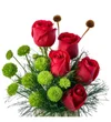 Red Dream Box - 2