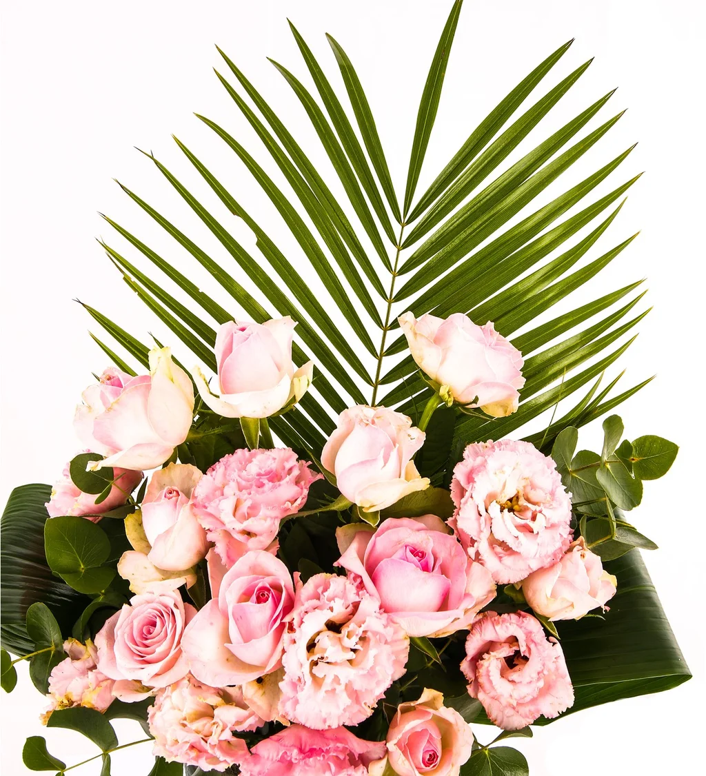 My Angelwing Lisyantus - 4