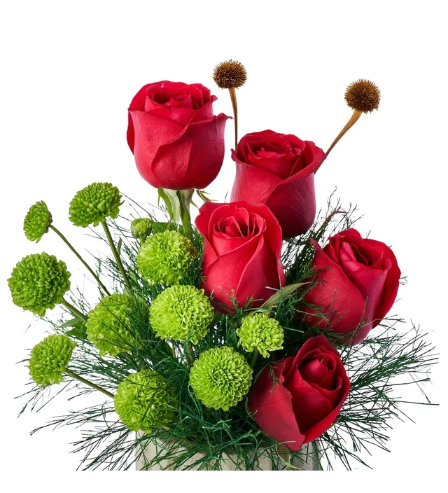 Red Dream Box - 2