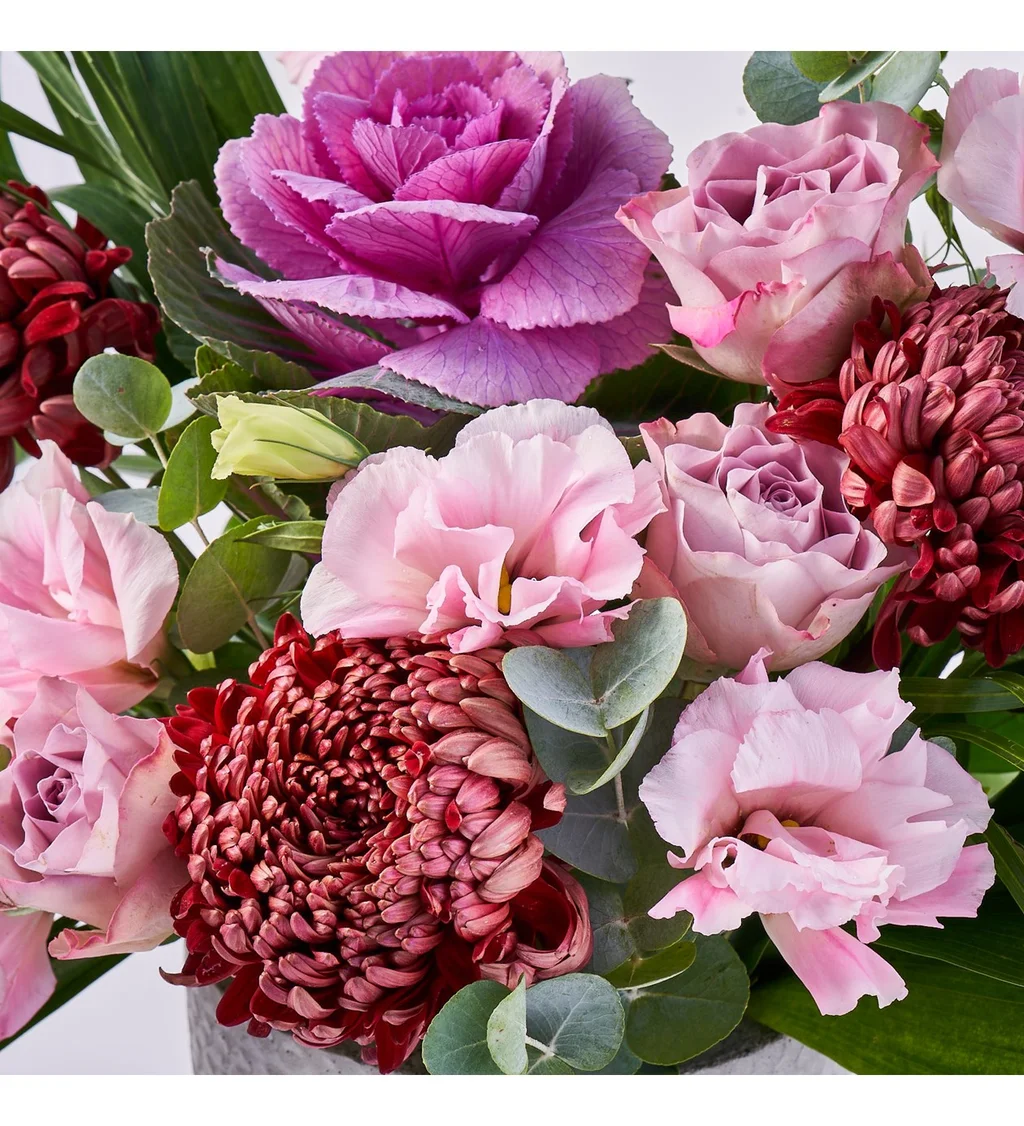 Premium Purple Dream - 4