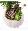 Lux Green Garden - 3