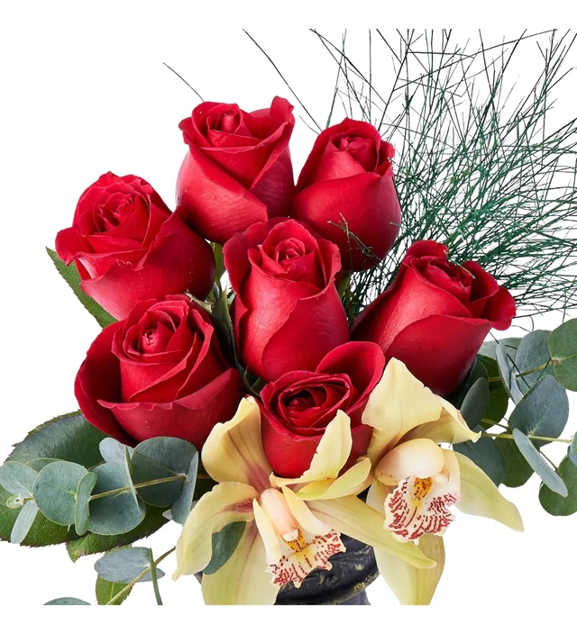 Red Pure Bloom - 2