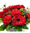 Kırmızı Karanfil ve Gerbera Çiçeği - 3