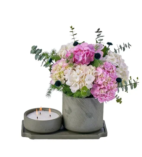 Ortanca and Candle Fantasy