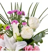 Pure Garden - 3