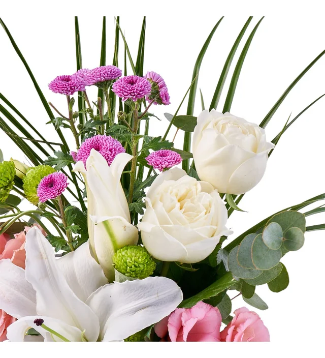 Pure Garden - 3