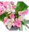 Premium Pink Feeling - 2