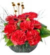 Red and Green Bloom - 2