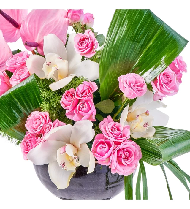 Premium Pink Feeling - 2