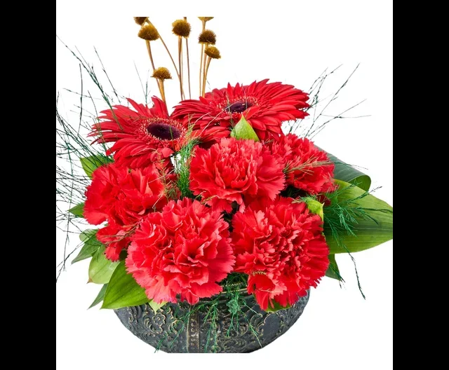 Red and Green Bloom - 2