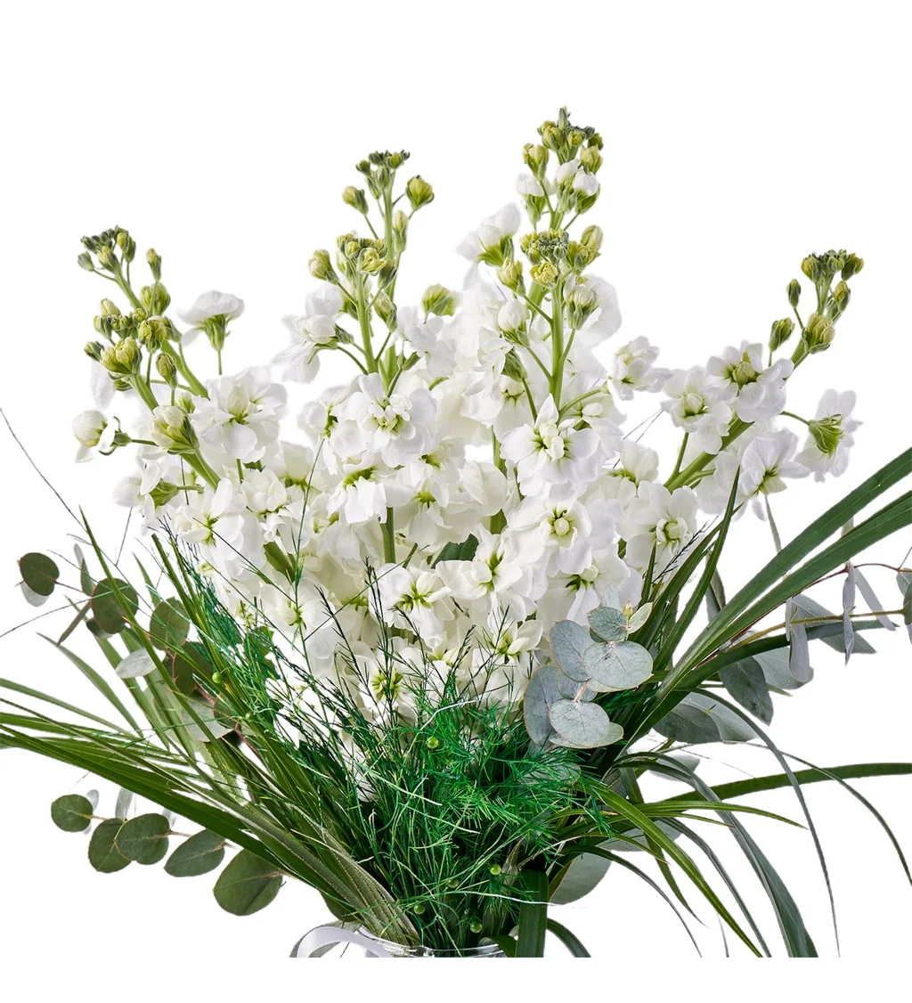 Vazoda Şebboy Çiçeği - 2