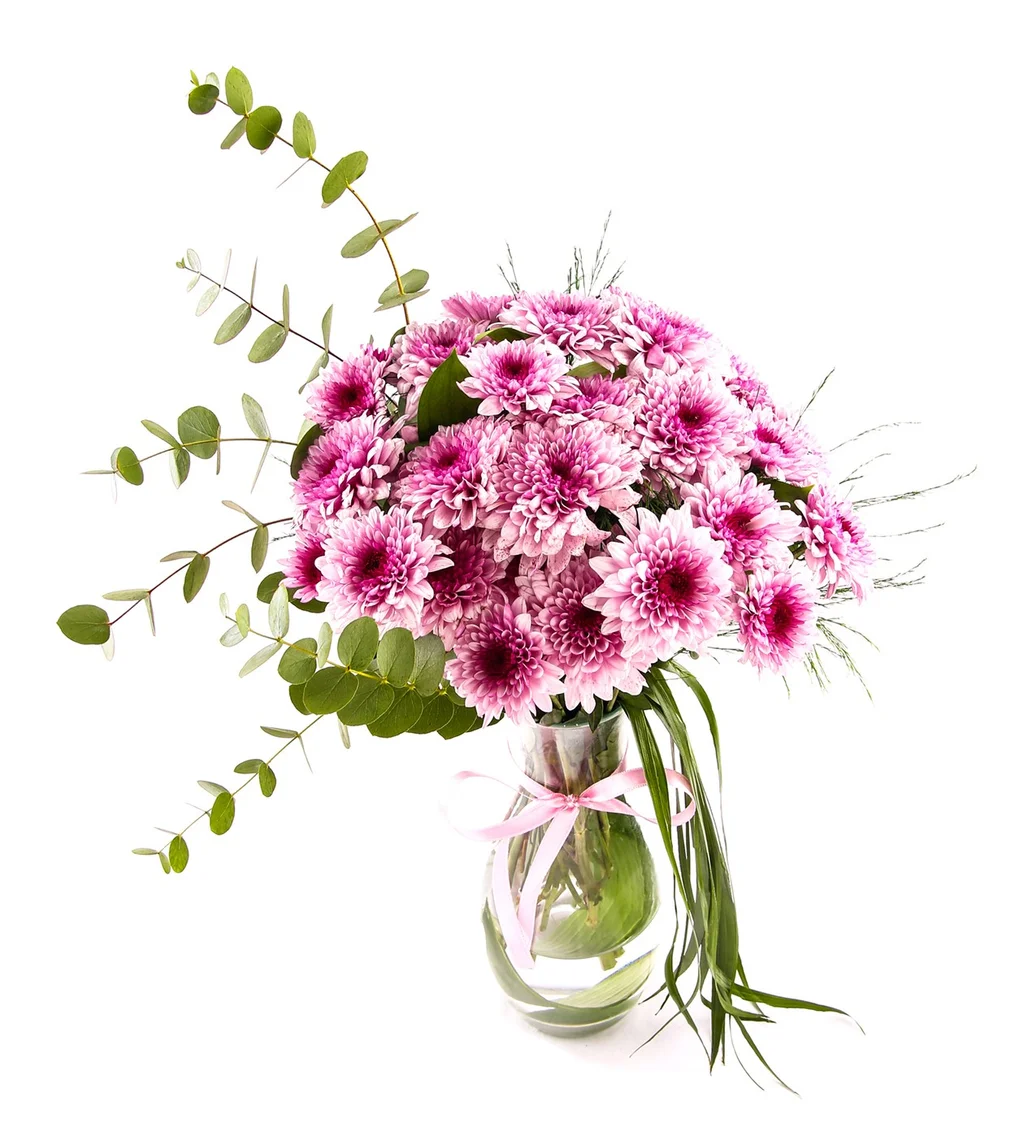 Fresh Dream Krizantem - 2