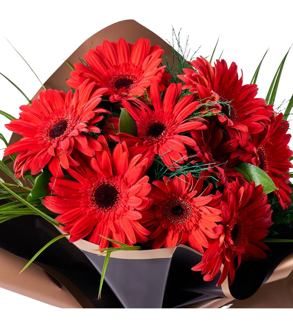 Kırmızı Gerbera Buketi - 3