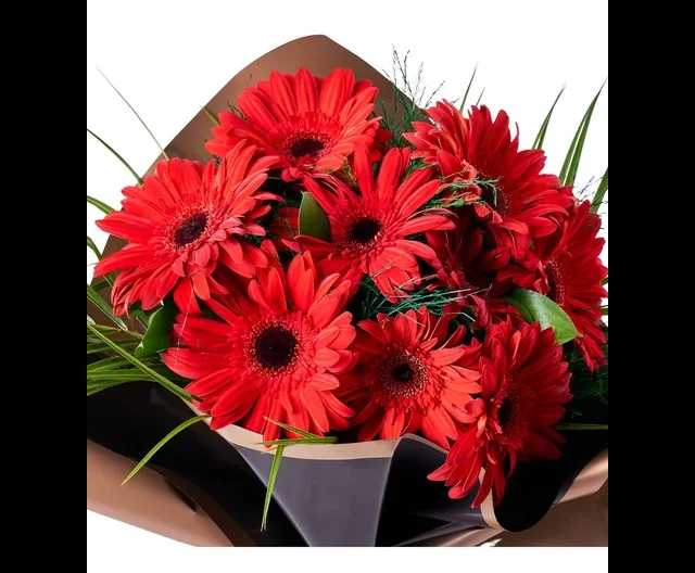 Kırmızı Gerbera Buketi - 2