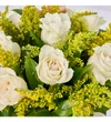 Golden Flower - 3