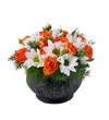 Sweet Orange