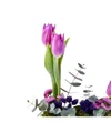 Mix Purple Lale - 3