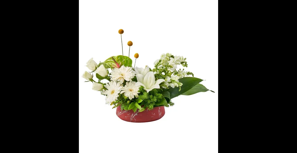 White Magic Arrangement