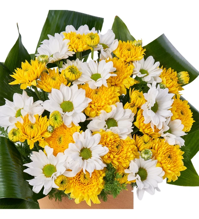 Yellow Queen - 2