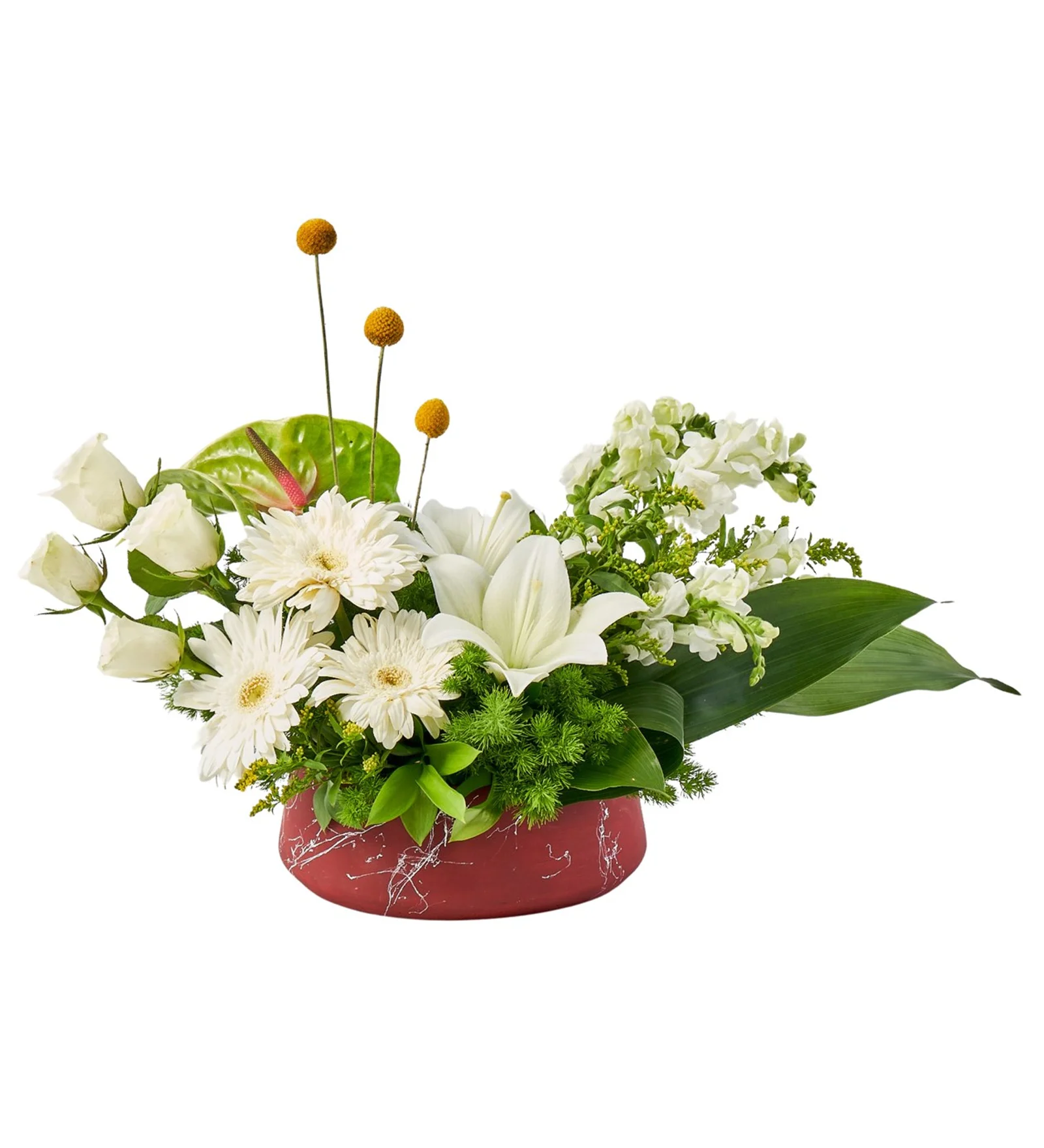 White Magic Arrangement